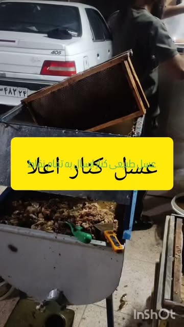 عسل